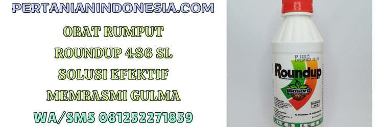 obat,rumput,roundup,roundup 486 sl,obat rumput